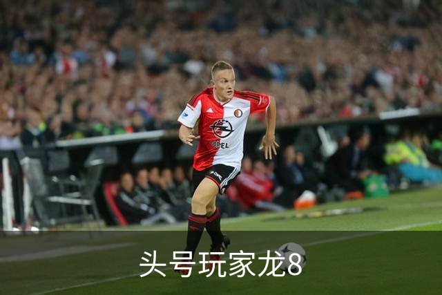 头号玩家龙8 公司简介